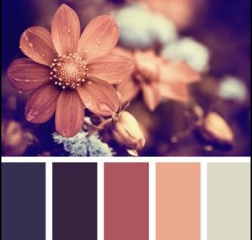 文率科技為您分享網頁設計顏色使用技巧